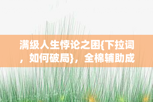满级人生悖论之困图片