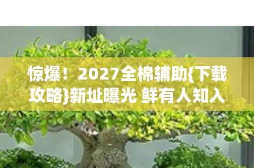 新址曝光 鲜有人知入口图片