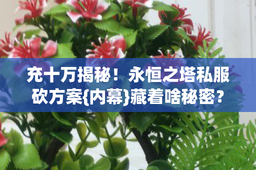 永恒之塔私服砍方案图片