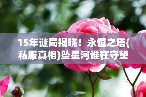 15年谜局揭晓图片