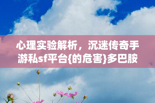 沉迷传奇手游私sf平台图片