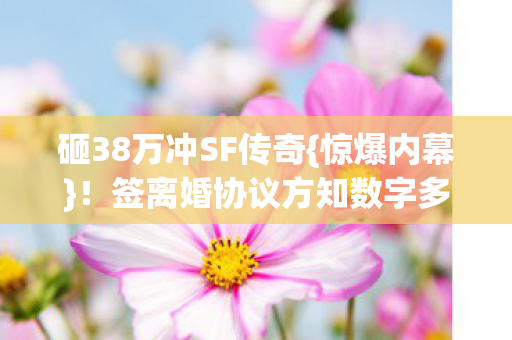签离婚协议方知数字多骇人图片