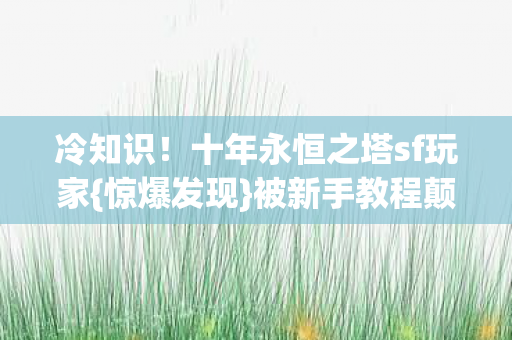 十年永恒之塔sf玩家图片