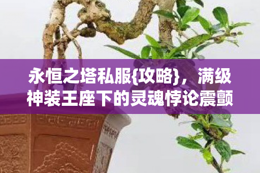满级神装王座下的灵魂悖论震颤图片