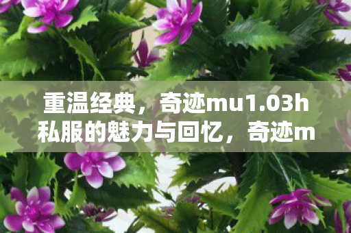 重温经典,奇迹mu1.03h私服的魅力与回忆,奇迹mu1.03h私服,重温经典,回忆永恒的魅力 重温经典,奇迹mu1.03h私服的魅力与回忆,奇迹mu1.03h私服,重温经典,回忆永恒的魅力