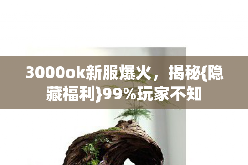 3000ok新服爆火图片