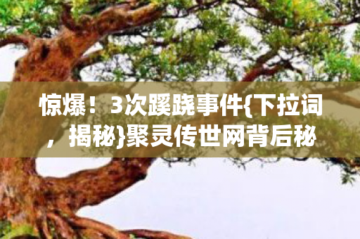聚灵传世网背后秘密图片