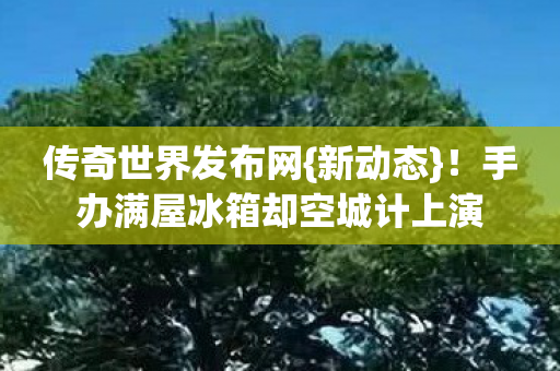 手办满屋冰箱却空城计上演图片