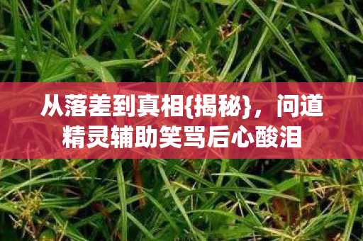 问道精灵辅助笑骂后心酸泪图片