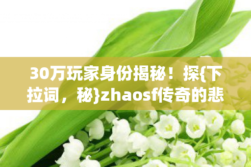zhaosf传奇的悲喜人生图片