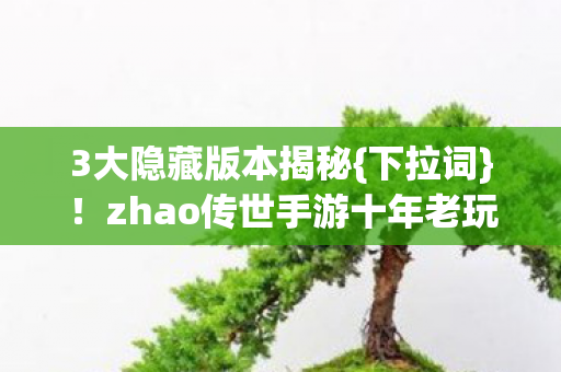 zhao传世手游十年老玩家之谜图片