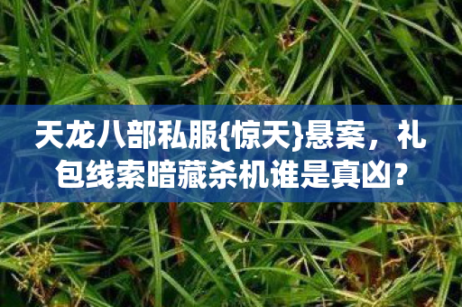 礼包线索暗藏杀机谁是真凶图片