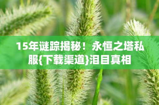 15年谜踪揭秘图片