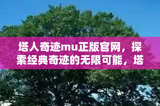 塔人奇迹mu正版官网,探索经典奇迹的无限可能,塔人奇迹mu正版官网,探索经典奇迹的无限可能 塔人奇迹mu正版官网,探索经典奇迹的无限可能,塔人奇迹mu正版官网,探索经典奇迹的无限可能