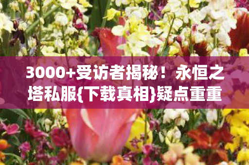 永恒之塔私服图片