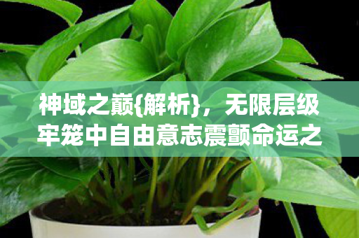 无限层级牢笼中自由意志震颤命运之弦图片