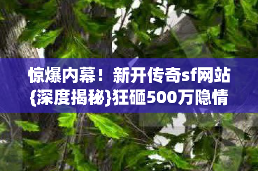 新开传奇sf网站图片