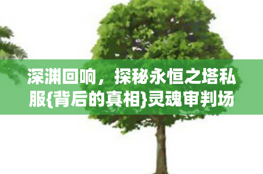 探秘永恒之塔私服图片