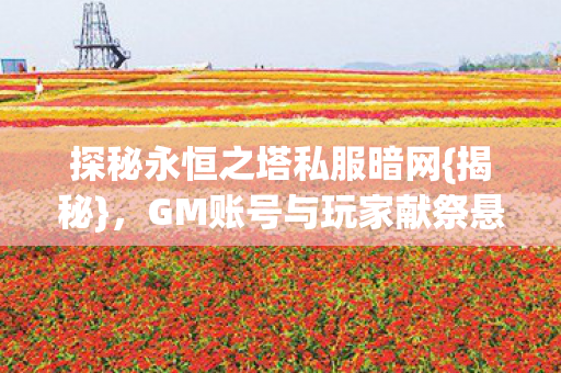 GM账号与玩家献祭悬案图片