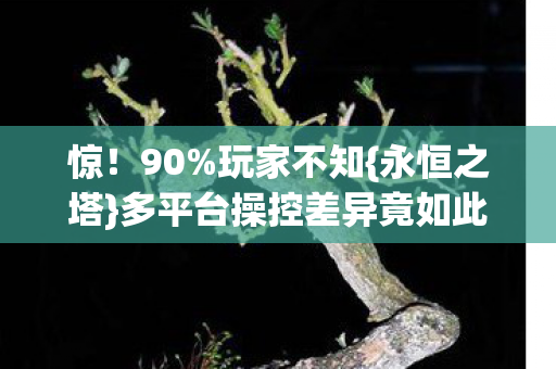 多平台操控差异竟如此大图片