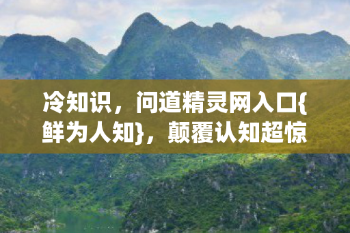 问道精灵网入口图片