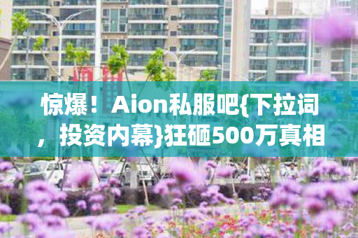 狂砸500万真相揭秘图片