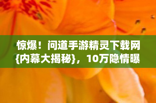 问道手游精灵下载网图片