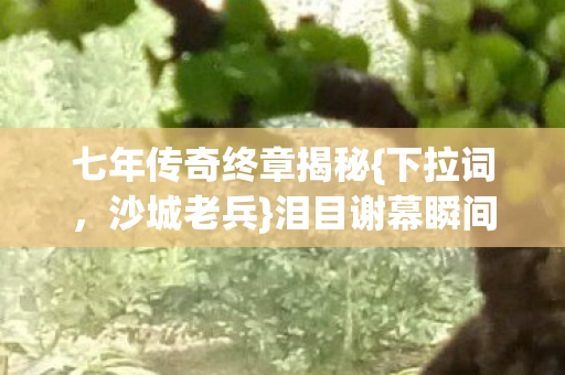 七年传奇终章揭秘图片