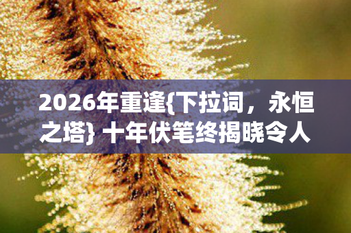 十年伏笔终揭晓令人鼻酸图片