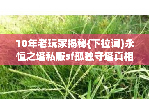 永恒之塔私服sf孤独守塔真相图片