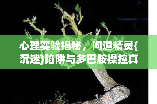 陷阱与多巴胺操控真相图片