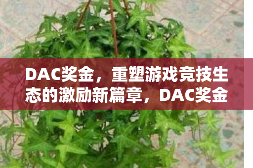 重塑游戏竞技生态的激励新篇章图片