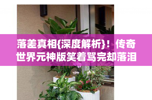 传奇世界元神版笑着骂完却落泪图片