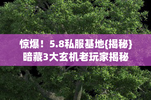 暗藏3大玄机老玩家揭秘图片