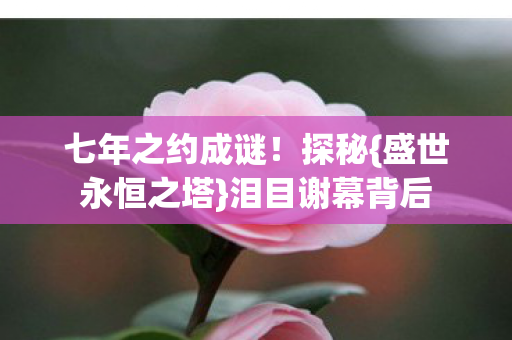 七年之约成谜图片