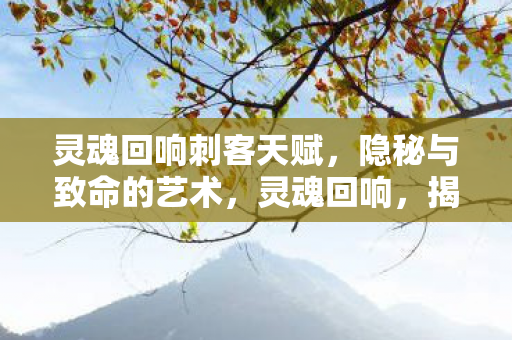 灵魂回响刺客天赋，隐秘与致命的艺术，灵魂回响，揭秘刺客天赋，探索隐秘与致命的艺术