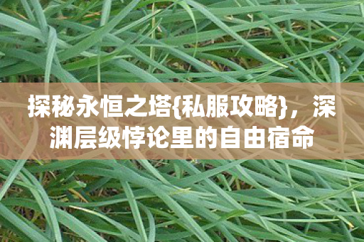 深渊层级悖论里的自由宿命图片