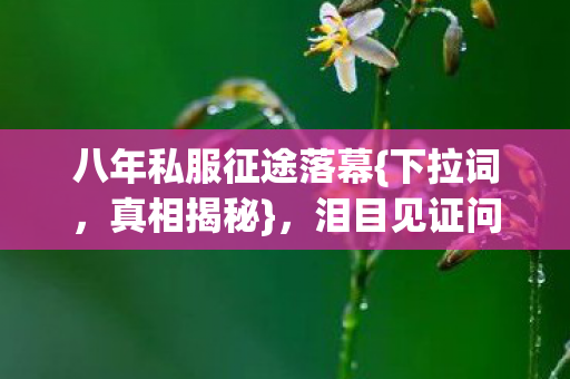 泪目见证问道精灵消逝图片