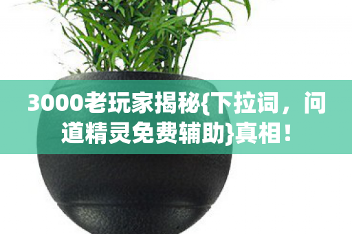 3000老玩家揭秘图片