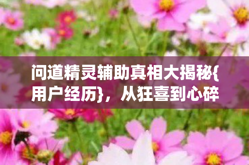 问道精灵辅助真相大揭秘图片