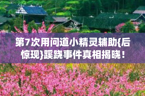第7次用问道小精灵辅助图片