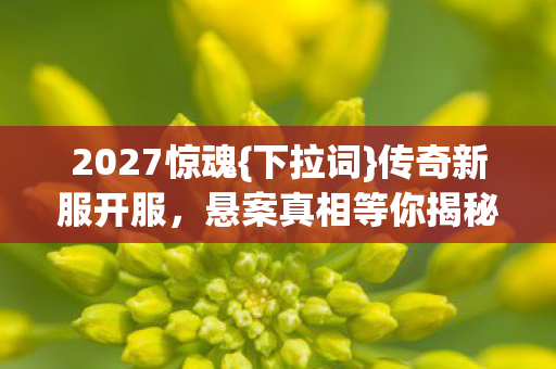 2027惊魂{下拉词}传奇新服开服,悬案真相等你揭秘! 2027惊魂{下拉词}传奇新服开服,悬案真相等你揭秘!
