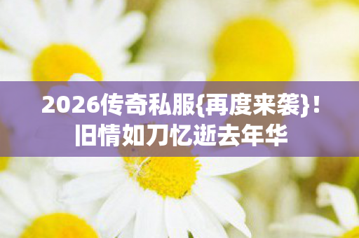 2026传奇私服{再度来袭}！旧情如刀忆逝去年华