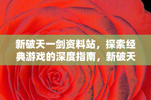 新破天一剑资料站,探索经典游戏的深度指南,新破天一剑资料站,经典游戏深度指南 新破天一剑资料站,探索经典游戏的深度指南,新破天一剑资料站,经典游戏深度指南