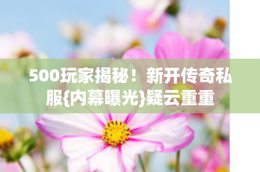 500玩家揭秘！新开传奇私服{内幕曝光}疑云重重