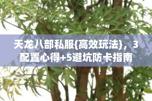 5避坑防卡指南图片