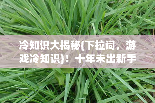 十年未出新手村真相惊人图片