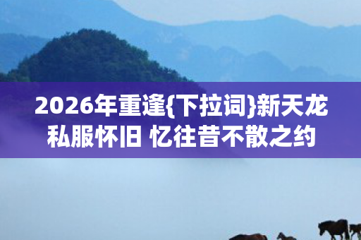 新天龙私服怀旧 忆往昔不散之约图片