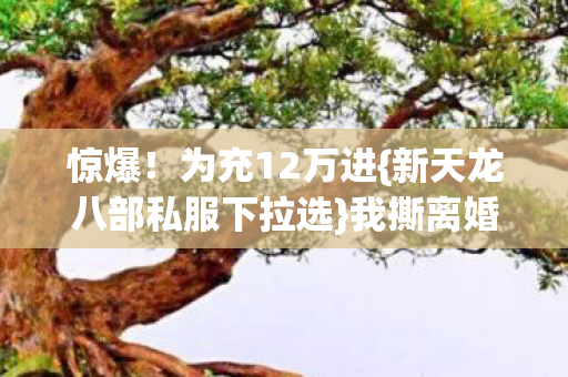 新天龙八部私服下拉选图片