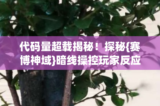 暗线操控玩家反应图片